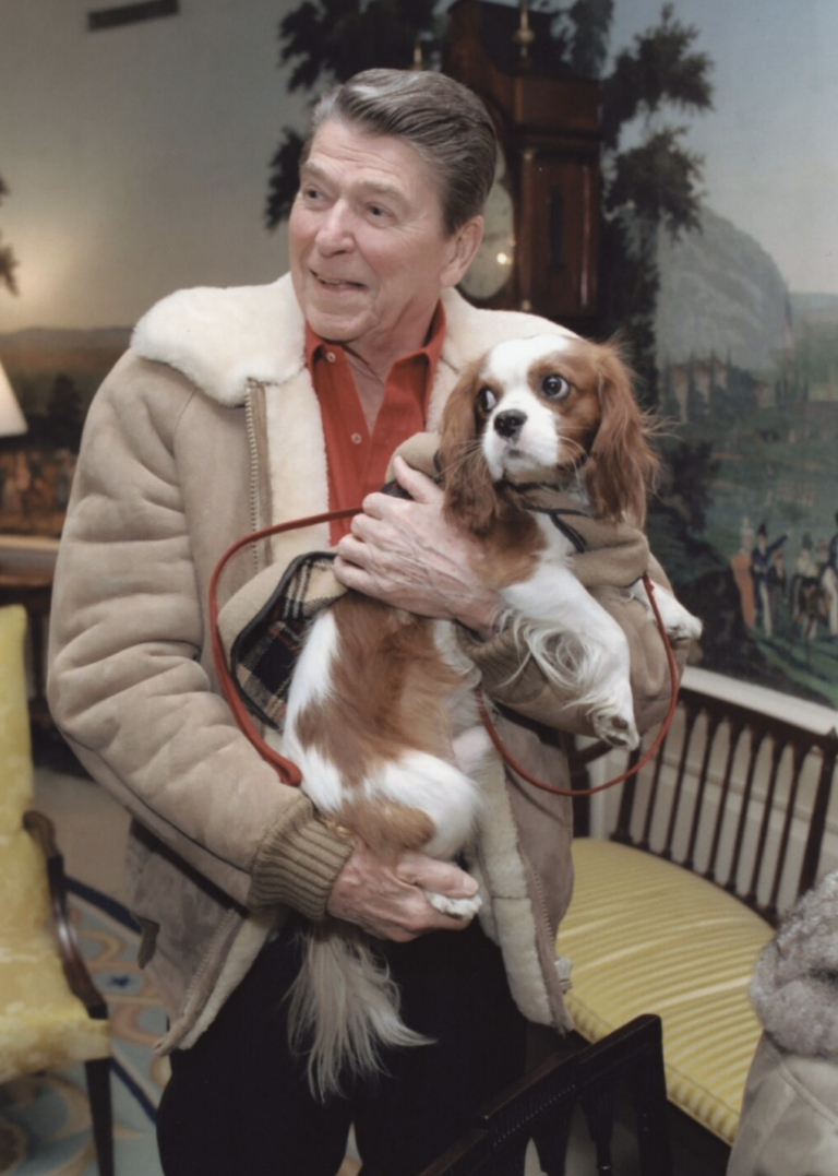 87% of Presidents Had Dogs —But These Six Didn’t! See the Full List of White House Dogs!